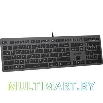 Клавиатура A4Tech Fstyler FX60 (белая подсветка) картинка 2